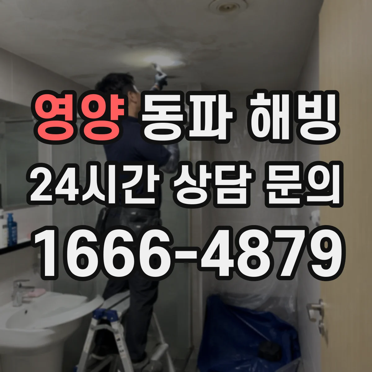 영양 동파 해빙 싱크대 하부 배관 한쪽만 얼 때 원인과 대응