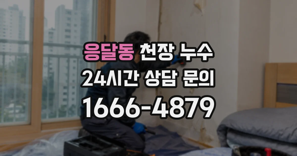 응달동 천장 누수