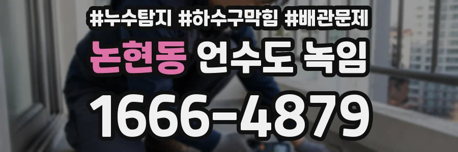 논현동 언수도 녹임