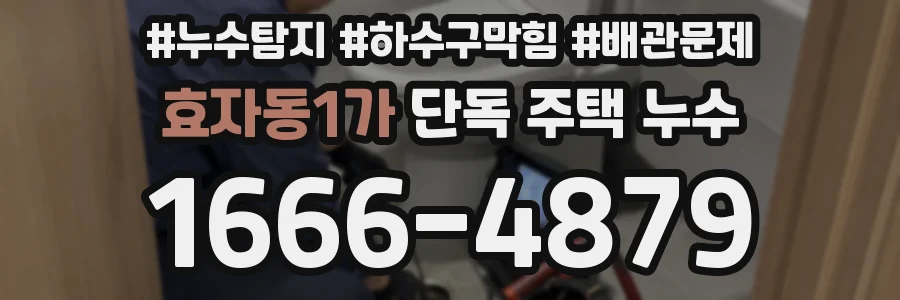 효자동1가 단독 주택 누수