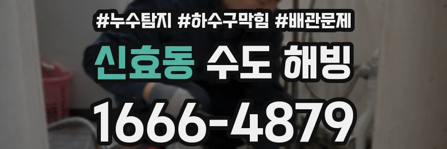 신효동 수도 해빙