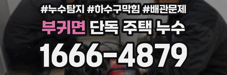 부귀면 단독 주택 누수