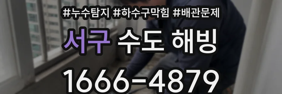서구 수도 해빙