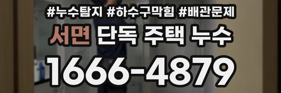서면 단독 주택 누수