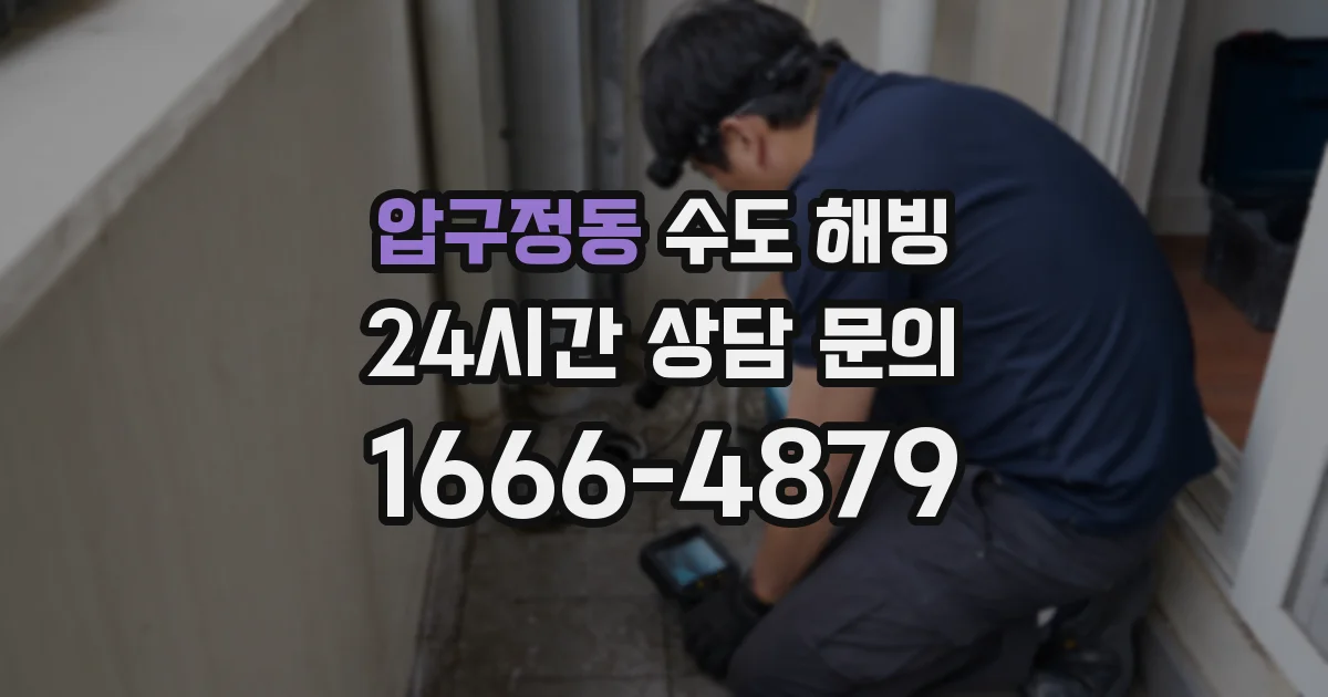 압구정동 수도 해빙