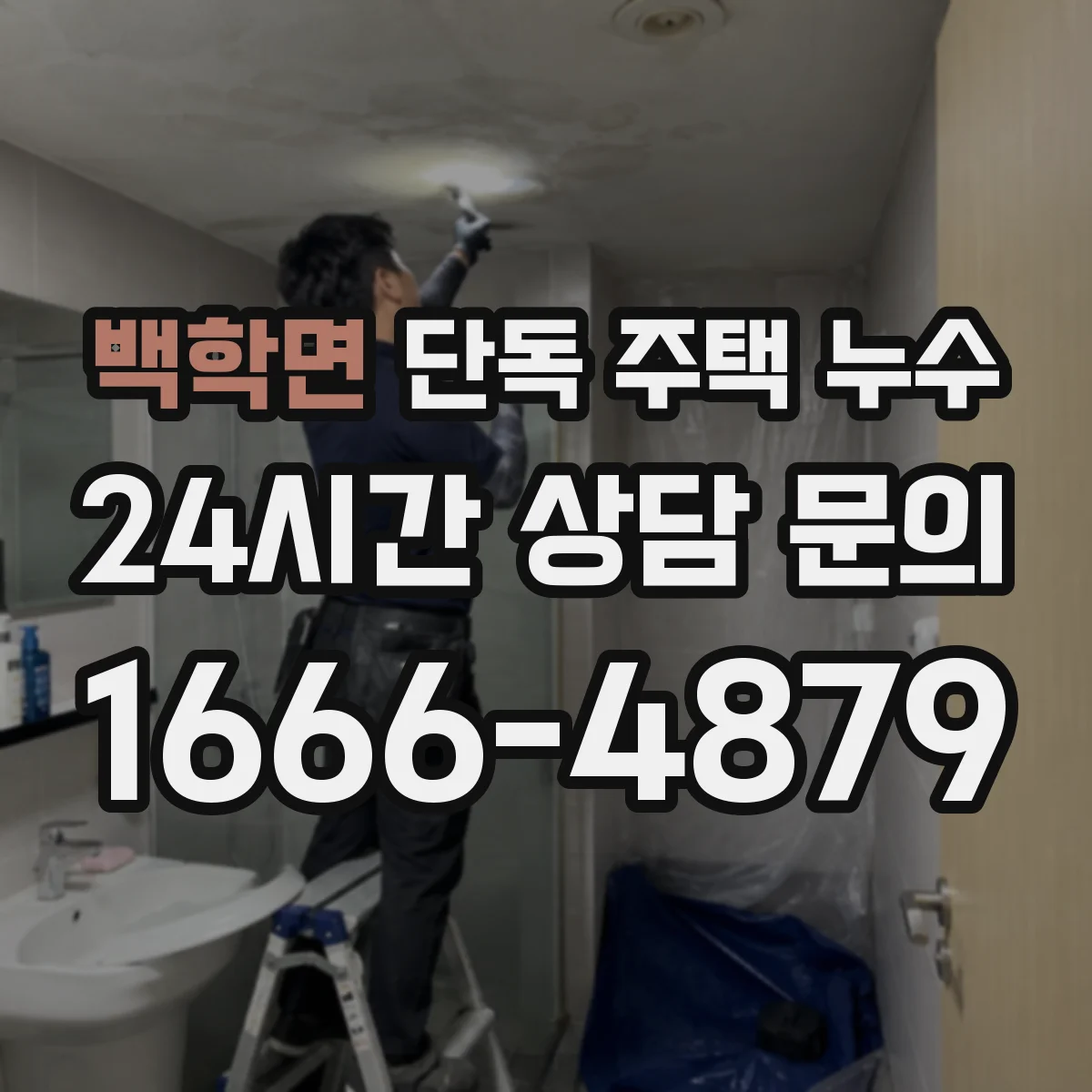 백학면 단독 주택 누수