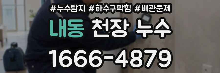 내동 천장 누수