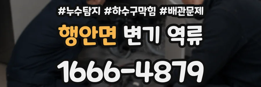 행안면 변기 역류