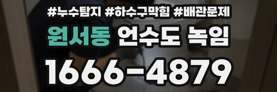 원서동 언수도 녹임