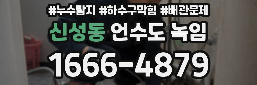 신성동 언수도 녹임