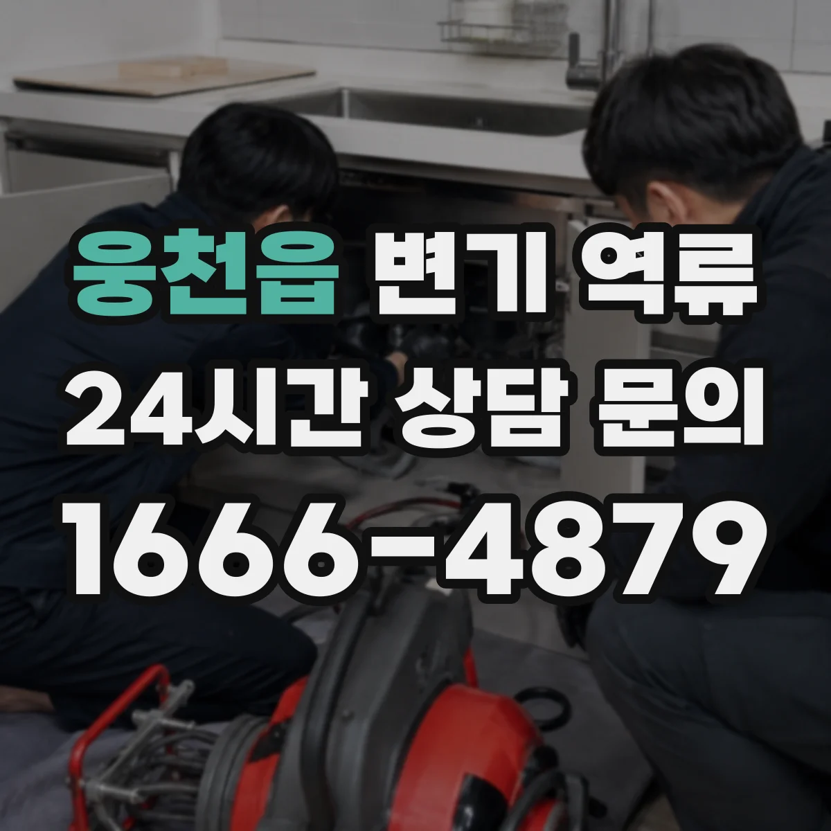 웅천읍 변기 역류