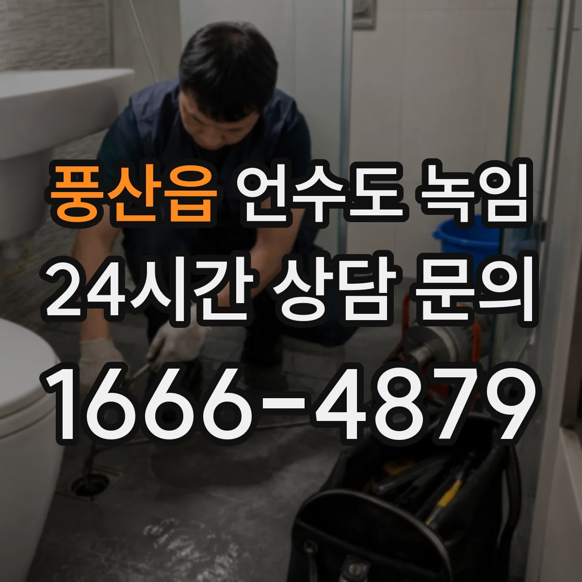 풍산읍 언수도 녹임