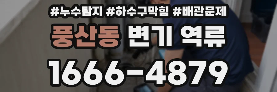풍산동 변기 역류