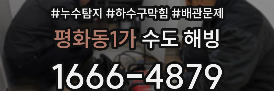 평화동1가 수도 해빙