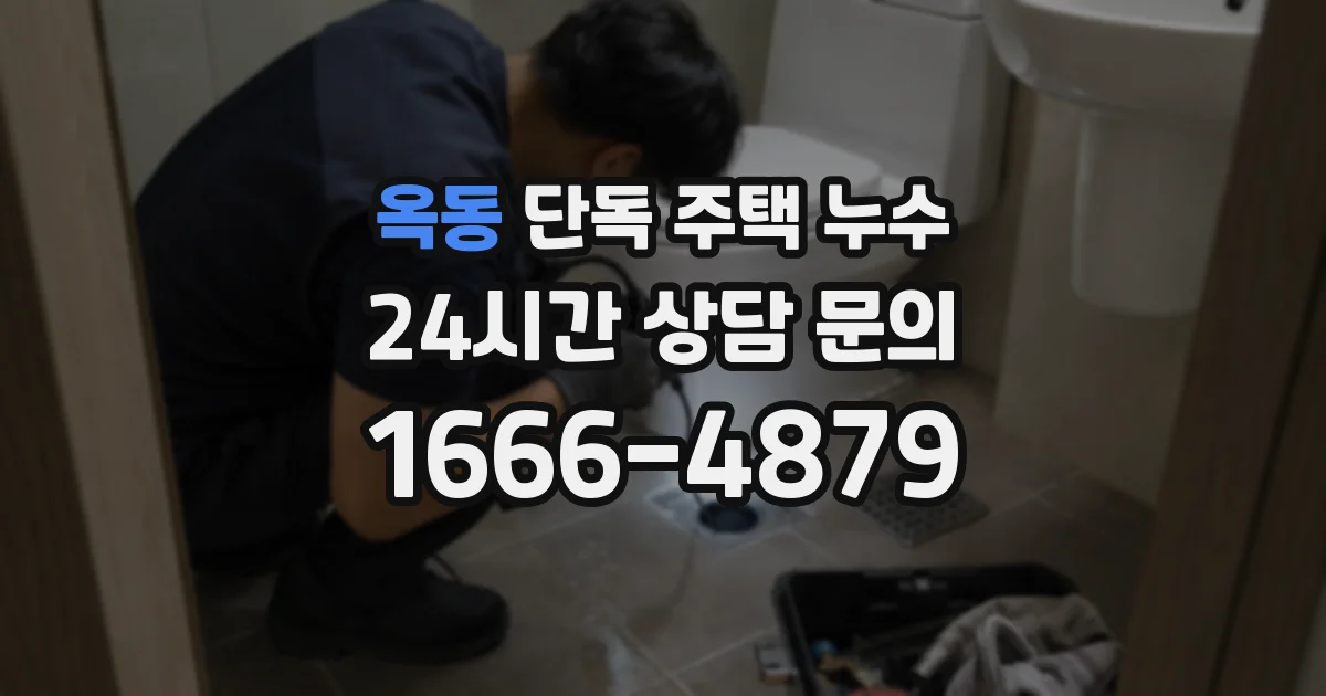 옥동 단독 주택 누수