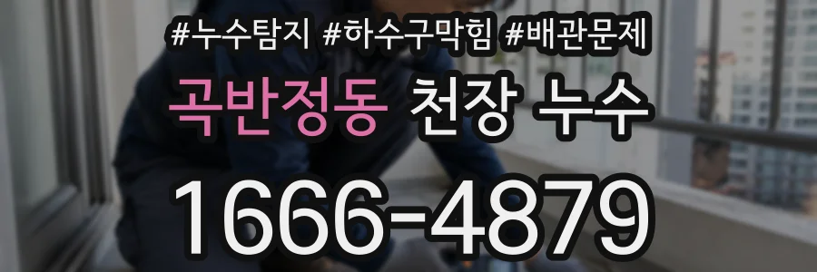 곡반정동 천장 누수
