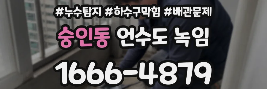 숭인동 언수도 녹임