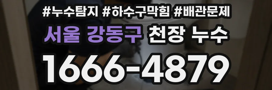 서울 강동구 천장 누수