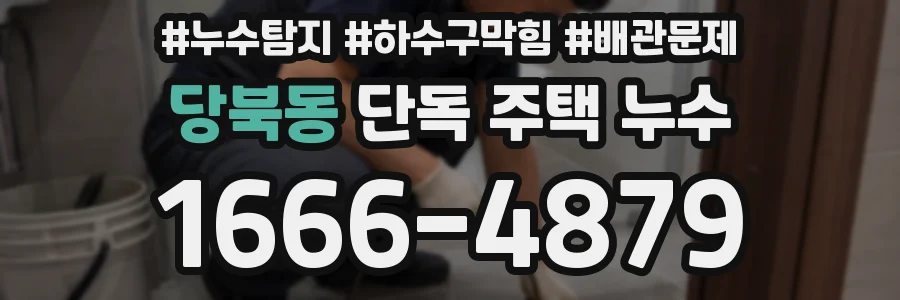 당북동 단독 주택 누수