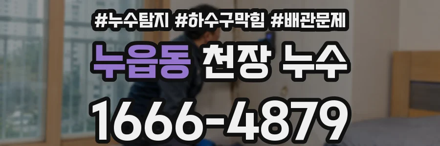 누읍동 천장 누수
