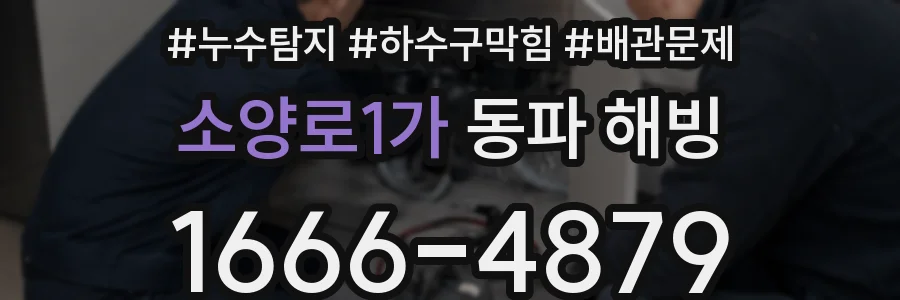 소양로1가 동파 해빙