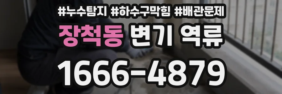 장척동 변기 역류