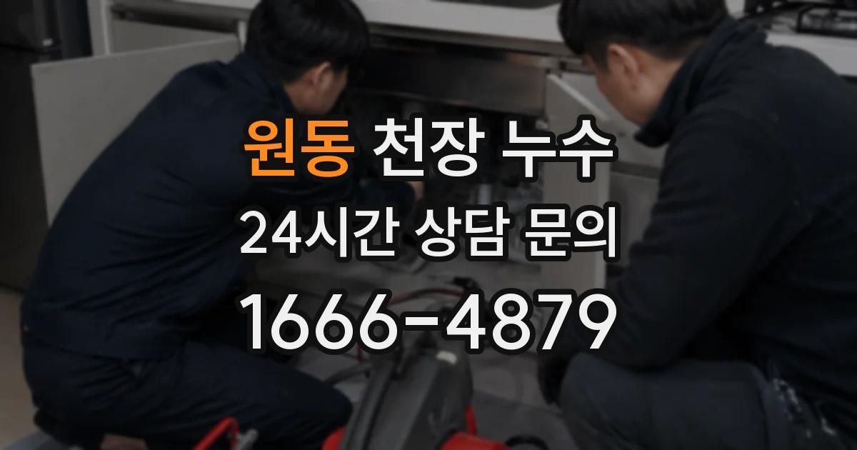 원동 천장 누수