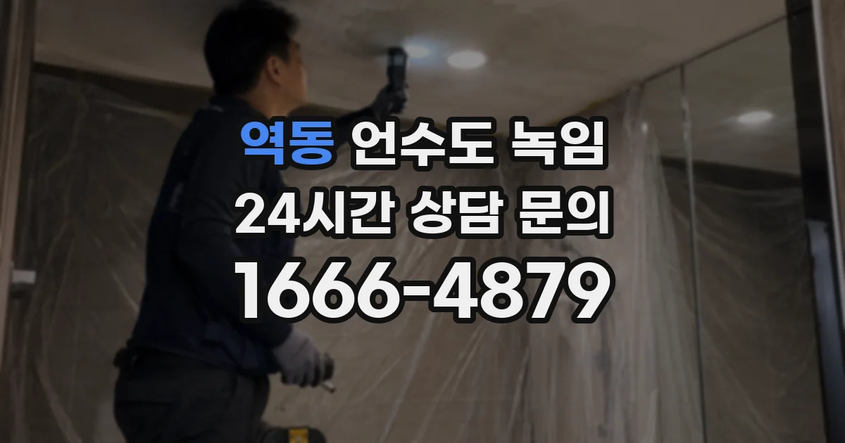 역동 언수도 녹임