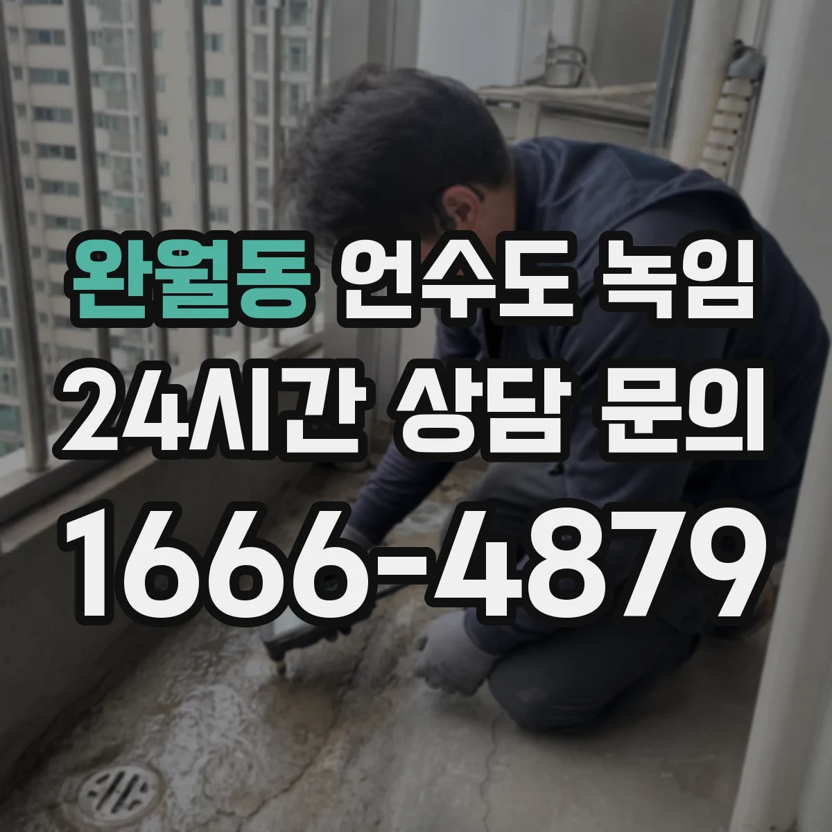 완월동 언수도 녹임