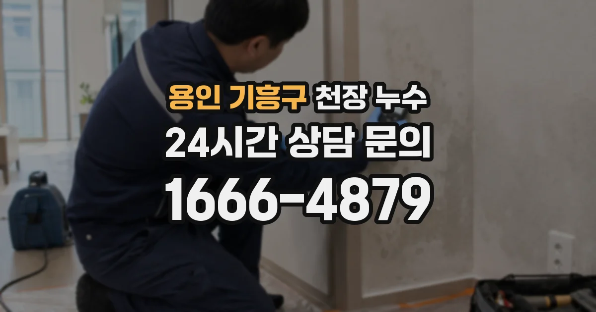 용인 기흥구 천장 누수