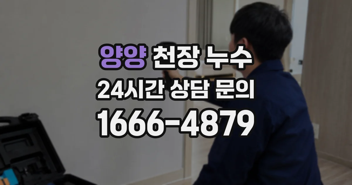 양양 천장 누수