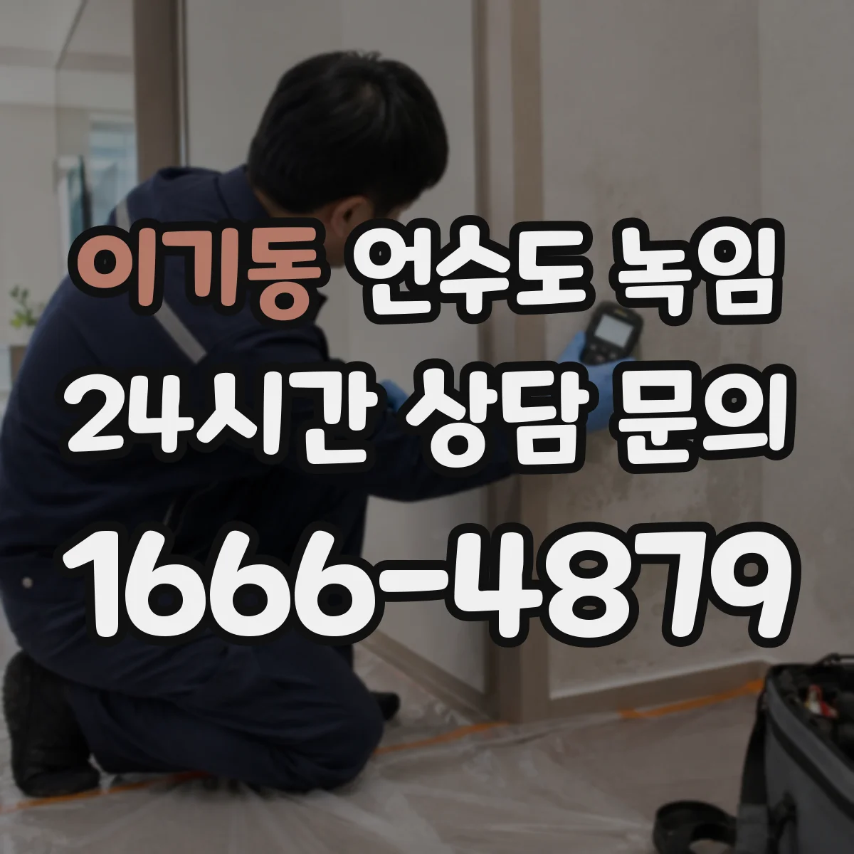 이기동 언수도 녹임