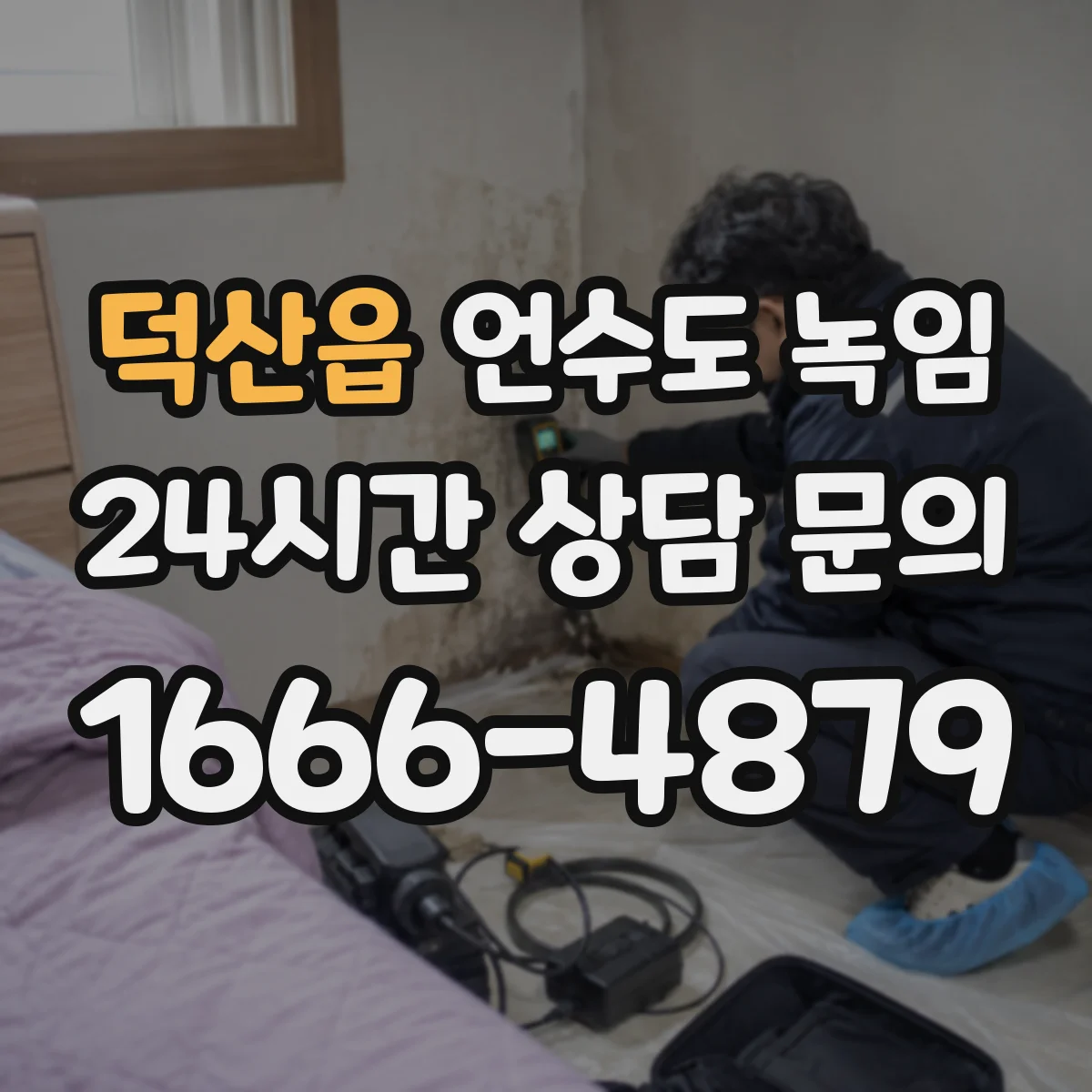 덕산읍 언수도 녹임