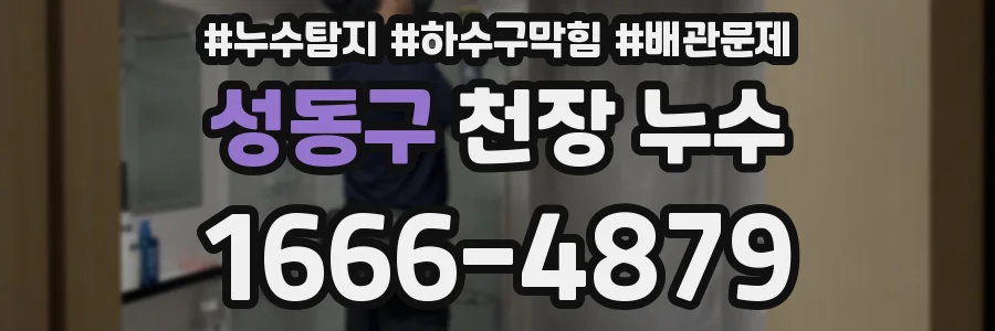 성동구 천장 누수