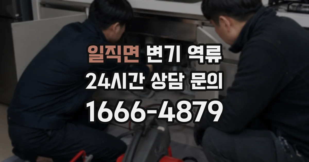 일직면 변기 역류