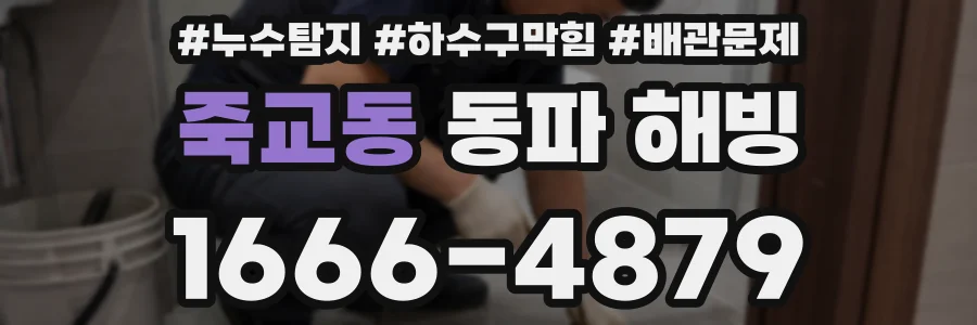 죽교동 동파 해빙