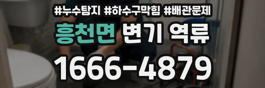 흥천면 변기 역류