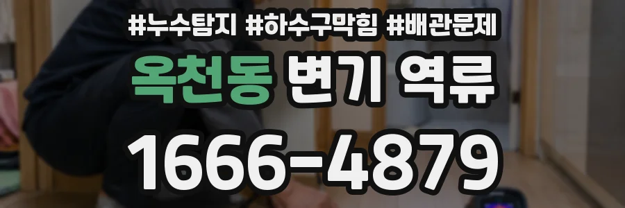 옥천동 변기 역류