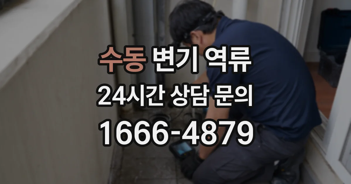 수동 변기 역류
