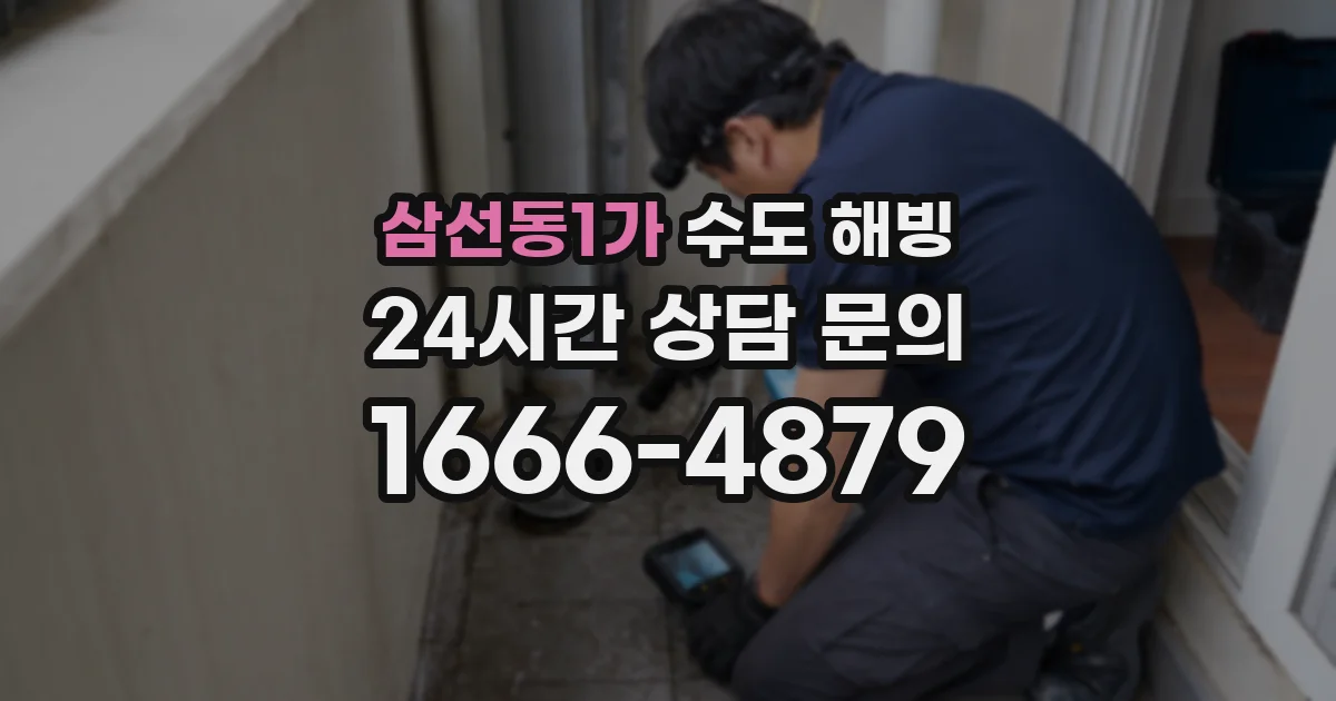 삼선동1가 수도 해빙