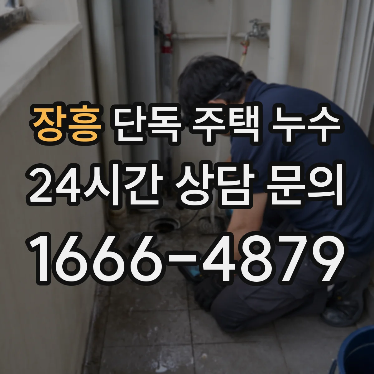 장흥 단독 주택 누수 벽지와 곰팡이가 함께 보일 때 의심할 곳