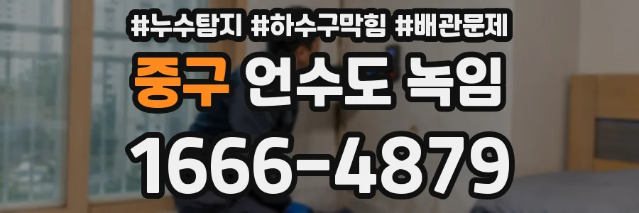 중구 언수도 녹임