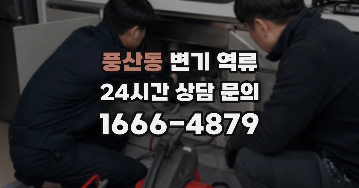 풍산동 변기 역류