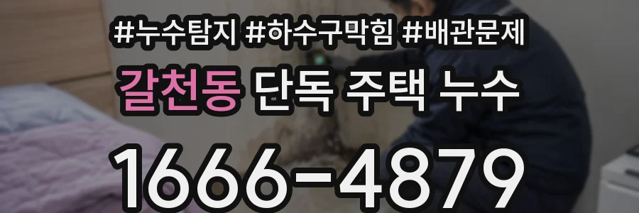 갈천동 단독 주택 누수