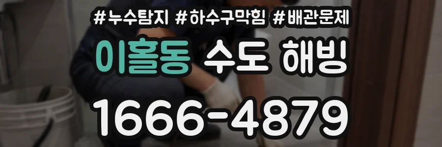 이홀동 수도 해빙