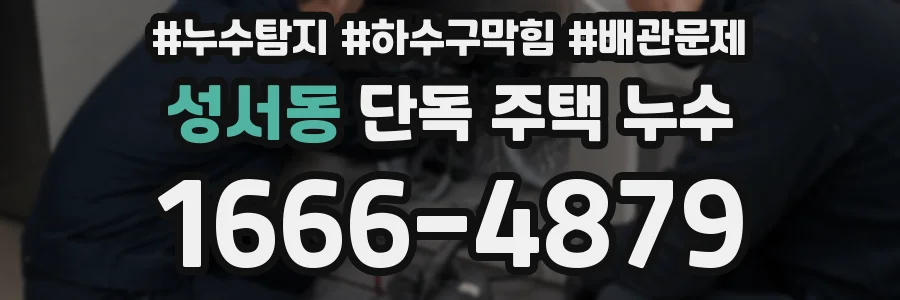 성서동 단독 주택 누수