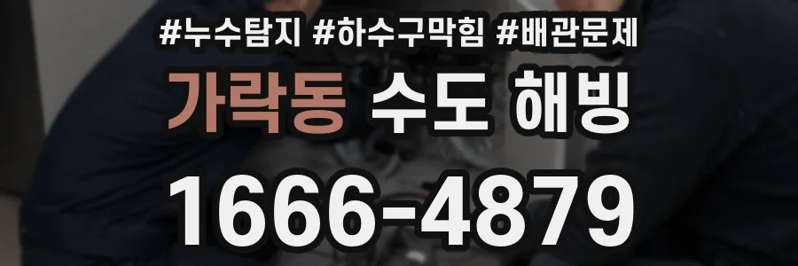 가락동 수도 해빙