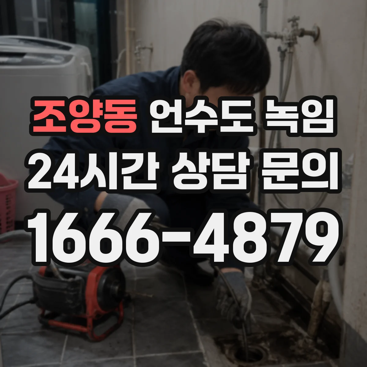 조양동 언수도 녹임
