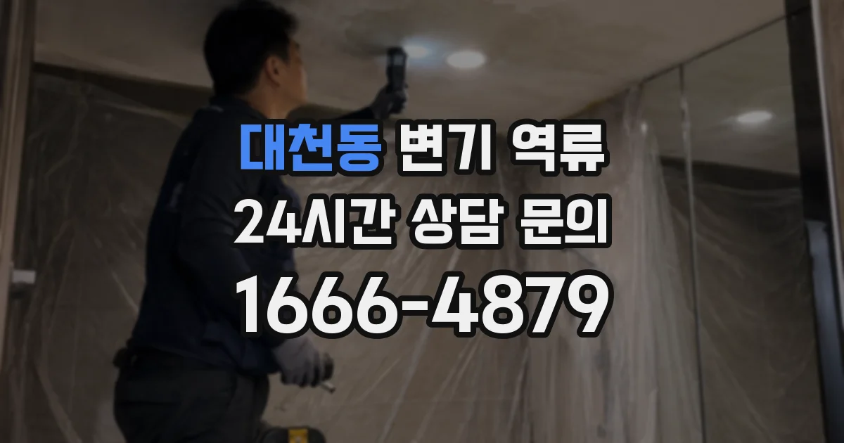 대천동 변기 역류