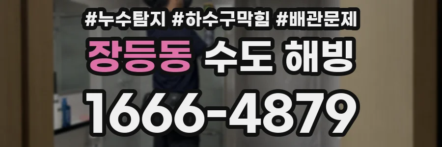 장등동 수도 해빙